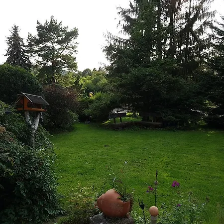 Ferienhaus Zum Vogelnest *