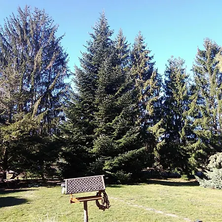 Ferienhaus Zum Vogelnest Thale