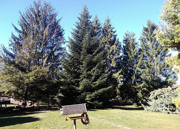 Tatil Evi Zum Vogelnest Thale